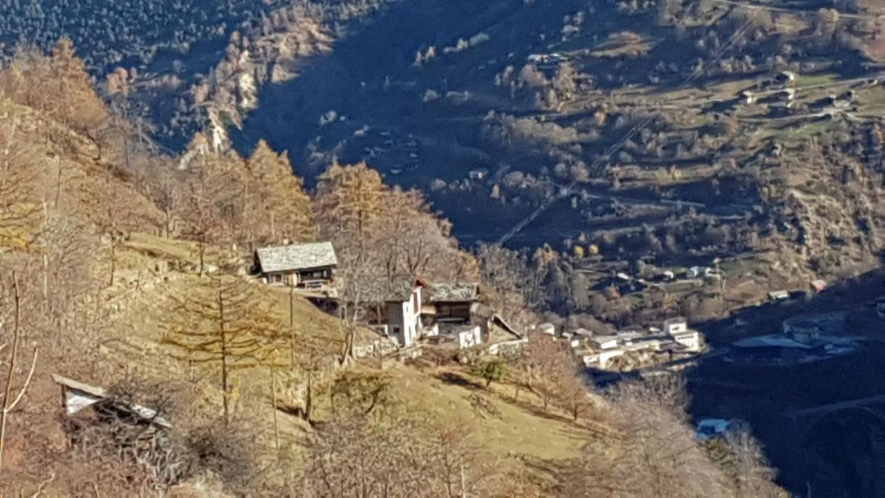 Chalet La Paz With Hotpot And Sauna Villa Törbel Kültér fotó