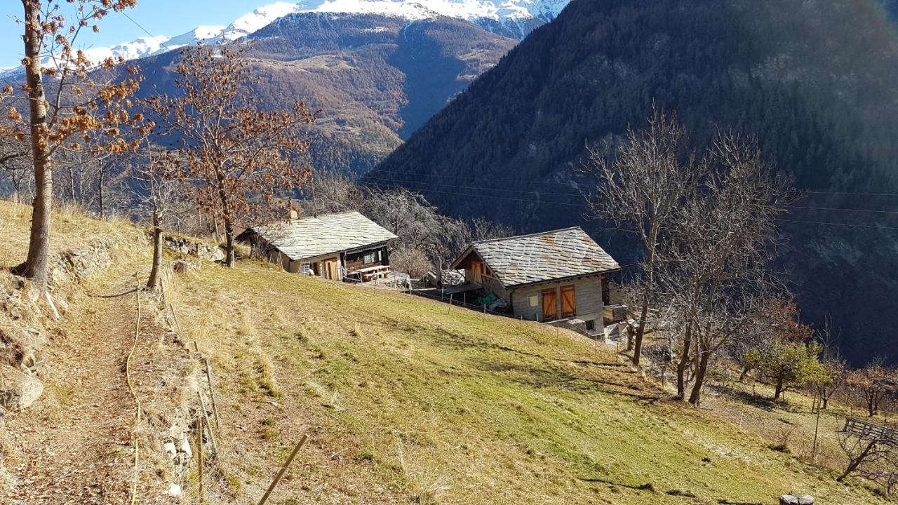 Chalet La Paz With Hotpot And Sauna Villa Törbel Kültér fotó